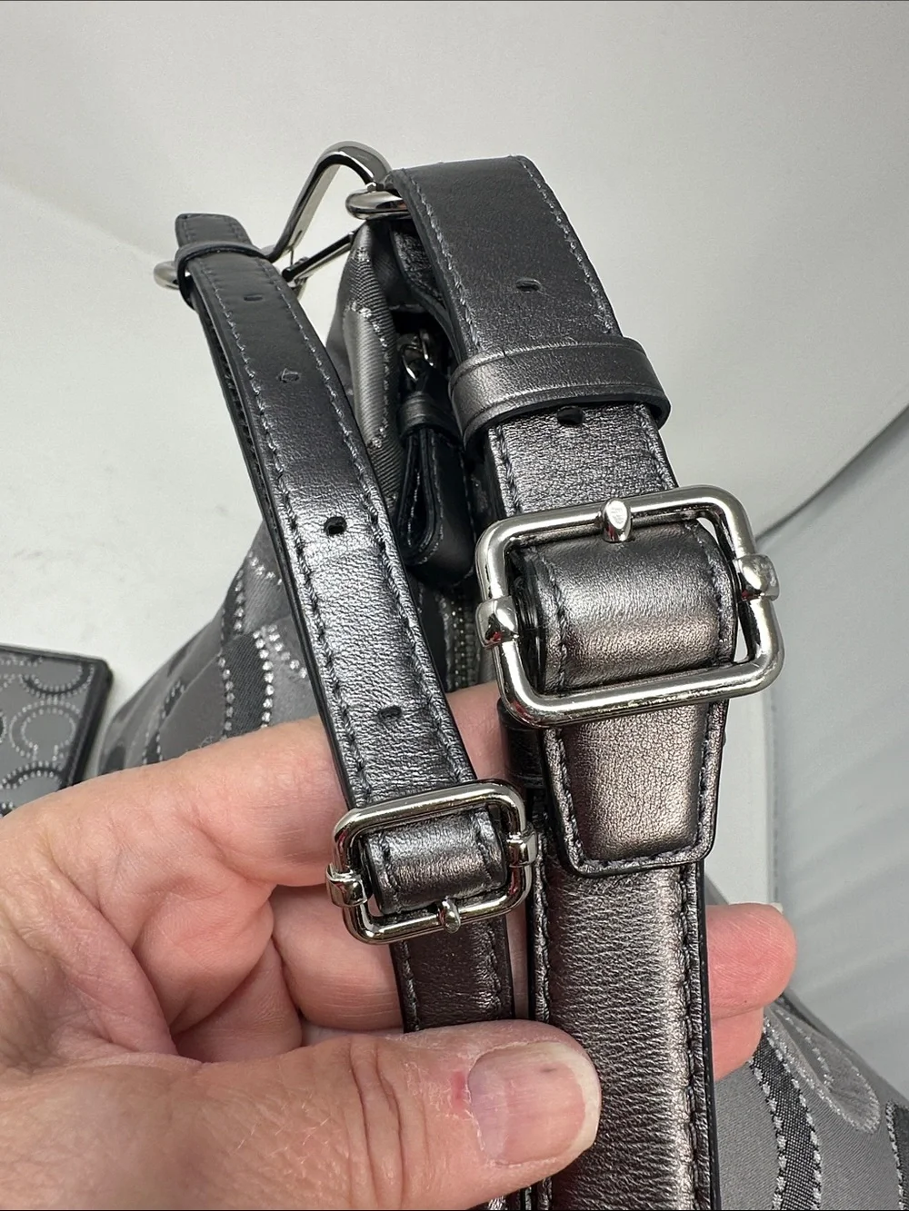 Coach hobo/ wallet
